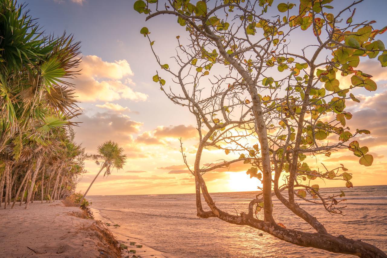 Platinum Yucatan Princess Adults Only Playa del Carmen Exterior foto Sunset at the beach